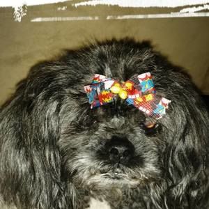 Meet your Posher, Jamayla